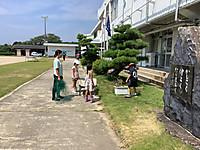 Img_0089