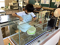 Img_0243