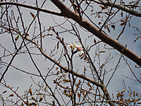 Dscn1910