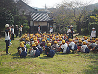 Pa101131_2