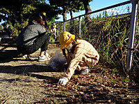Dsc01170
