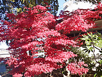 Dscf2574