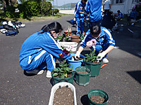 Dscf3567