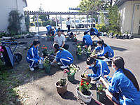 Dscf3568