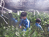 Dscf3660