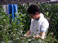 Dscf3656
