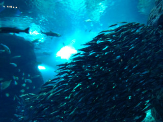 Img_20250605103929952
