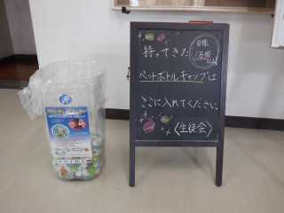 Dscf3954