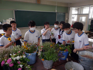 Dscf4029