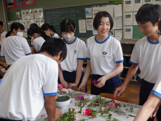 Dscf4036