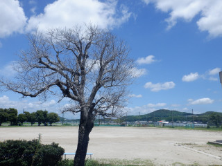 Dscf4073