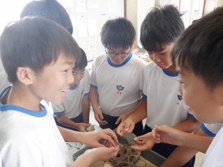Dscf6116