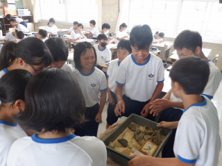 Dscf6117