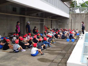 Sdsc02354_6