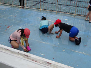 Sdsc02382_3