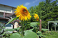 R0017917