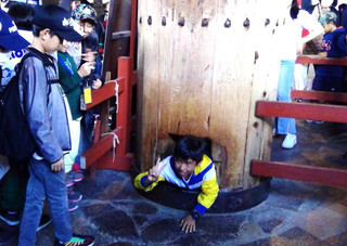 Win_20231006_13_52_39_proresize
