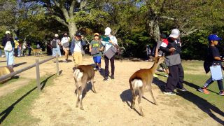 Win_20241010_14_19_06_pro_resize