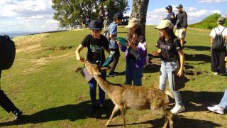 Win_20241010_14_20_00_pro_resize