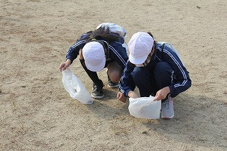 Img_4962_1