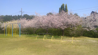 Win_20250407_13_00_27_pro_resize