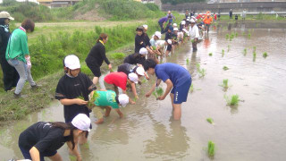 Win_20250609_09_19_48_pro_resize