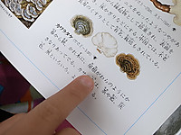 R0016922_3