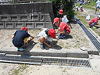 Dscn0485