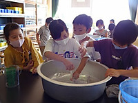 Dsc02227