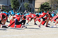 Img_3624
