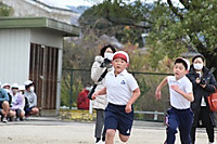 Img_6907