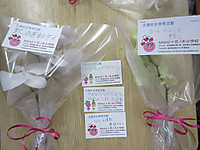 Img_1518_3