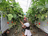 Img_1558