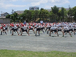 Img_3643