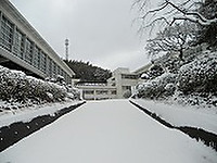 Dscn0950_11 Dscn0950_11