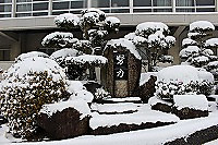 Img_4971_4 Img_4971_4