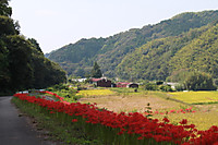 Img_5615_2