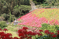Img_5616_2