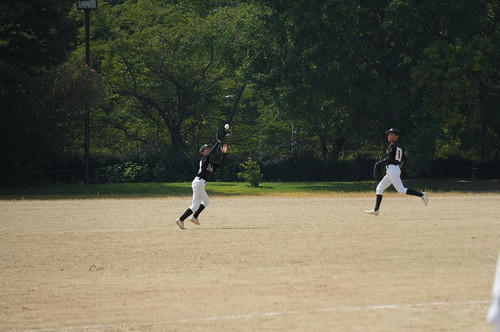 Dsc07675 Dsc07675