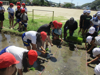Img_4883 Img_4883