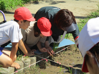 Img_4891 Img_4891