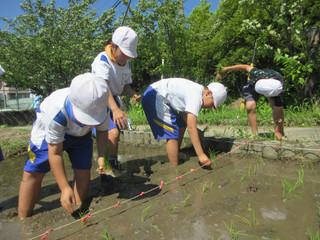 Img_7002 Img_7002