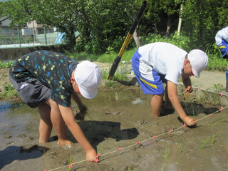 Img_7007 Img_7007