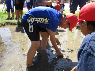 Img_8255 Img_8255