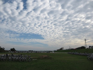 Simg_0325