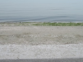 Img_6198_2