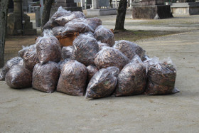 Photo_4