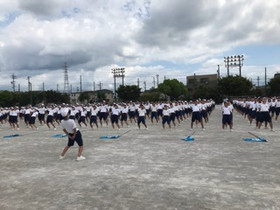 0453f15fc66c4701a9aeddf24f9240ed