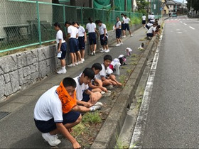 6b119c44288541c49636db94684d79d7