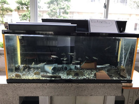 74127afb5ac04fff89b4ba7f1eaa2275